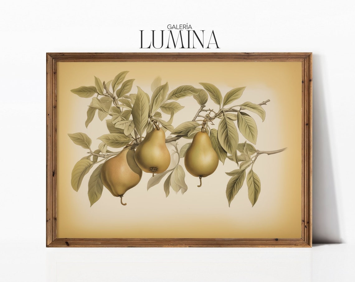 Pears On The Tree Drawing Vintage Kitchen Wall Art Still Life Painting Farmhouse Rustic Fruit Print Art Frame Tv Art 022