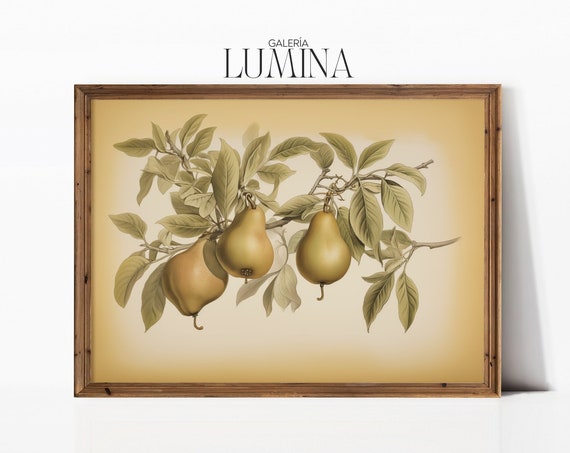 Pears On The Tree Drawing Vintage Kitchen Wall Art Still Life Painting Farmhouse Rustic Fruit Print Art Frame Tv Art 022