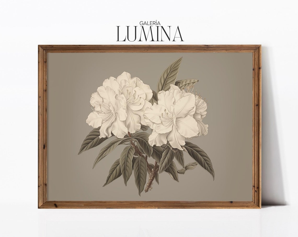 White Rhododendron Vintage Dark Botanical Drawing Sepia Poster