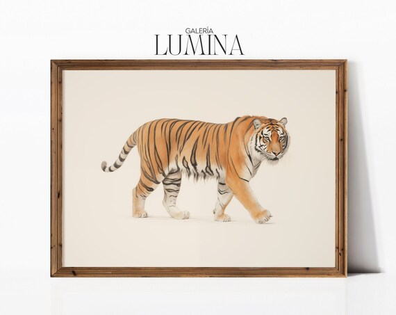 Walking Tiger Colored Pencil Drawing Neutral Cream Tiger Poster