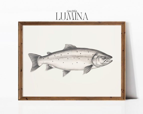 Minimalist Salmon Pencil Drawing Neutral Fish Illustration Salmon Sketch Fish Restaurant Wall Decor Art Frame Tv Art 260