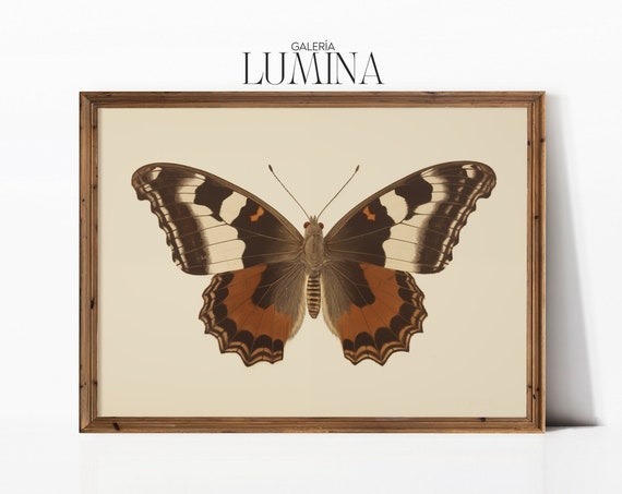 Vintage Butterfly Painting Neutral Butterfly Print Antique Butterfly Drawing Moody Insect Wall Art Art Frame Tv Art 291