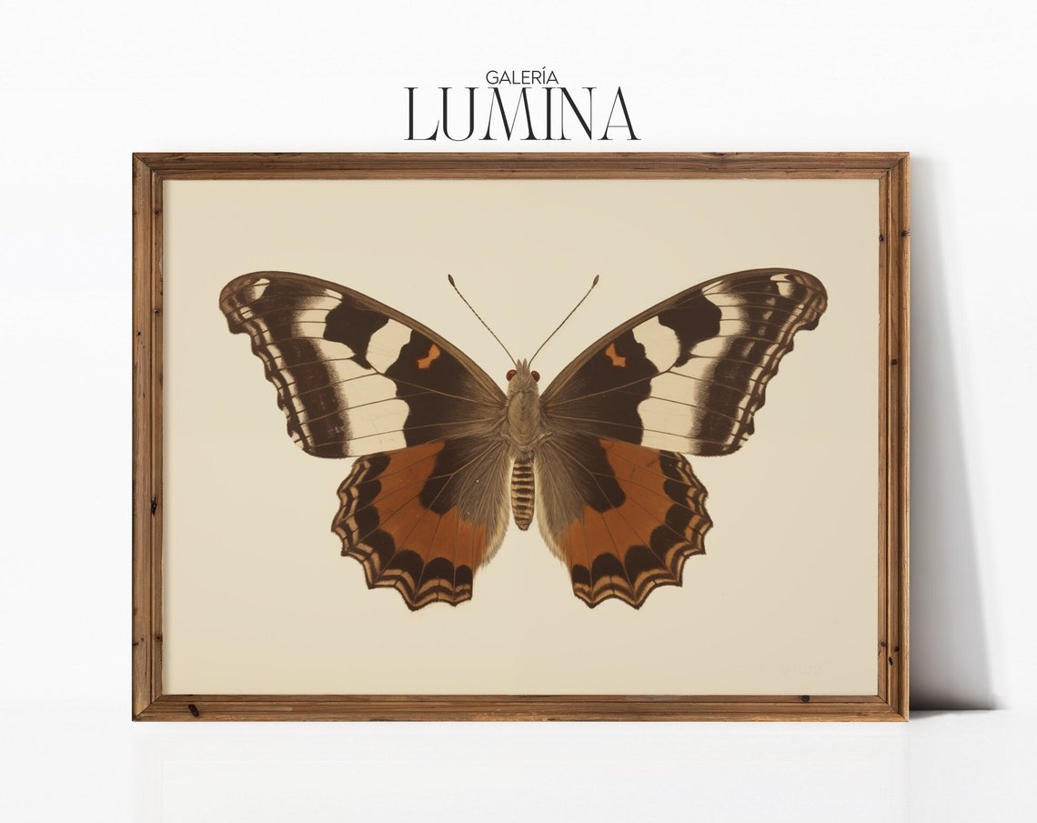 Vintage Butterfly Painting Neutral Butterfly Print Antique Butterfly Drawing Moody Insect Wall Art Art Frame Tv Art 291