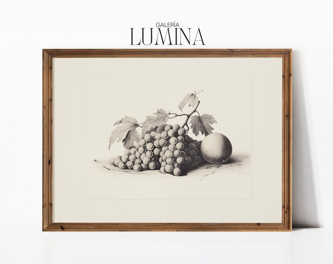 Fruit Still Life Etching Vintage Fruit Still Life Drawing Antique Kitchen Sketch Fruit Grapes Sketch Art Frame Tv Art 328