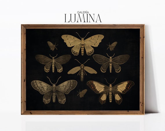 Dark Moody Butterfly Print Vintage Butterflies Painting Black Butterfly Print Moody Insect Wall Art Art Frame Tv Art 417
