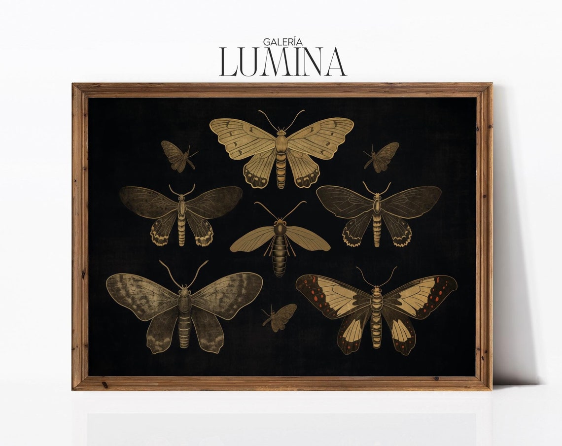 Dark Moody Butterfly Print Vintage Butterflies Painting Black Butterfly Print Moody Insect Wall Art Art Frame Tv Art 417