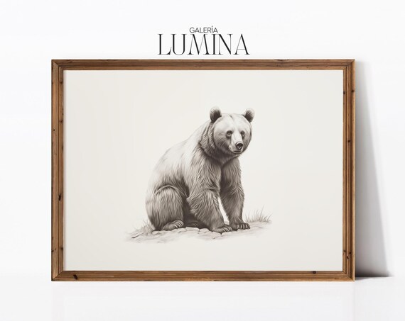 Sitting Grizzly Bear Pencil Drawing Minimalist Wildlife Sketch Poster
