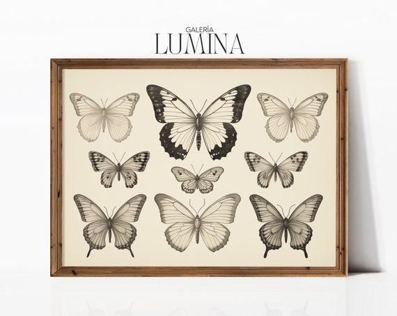 Vintage Butterflies Pencil Drawing Hand Drawn Butterfly Illustration Antique Butterfly Sketch Print Art Frame Tv Art 329