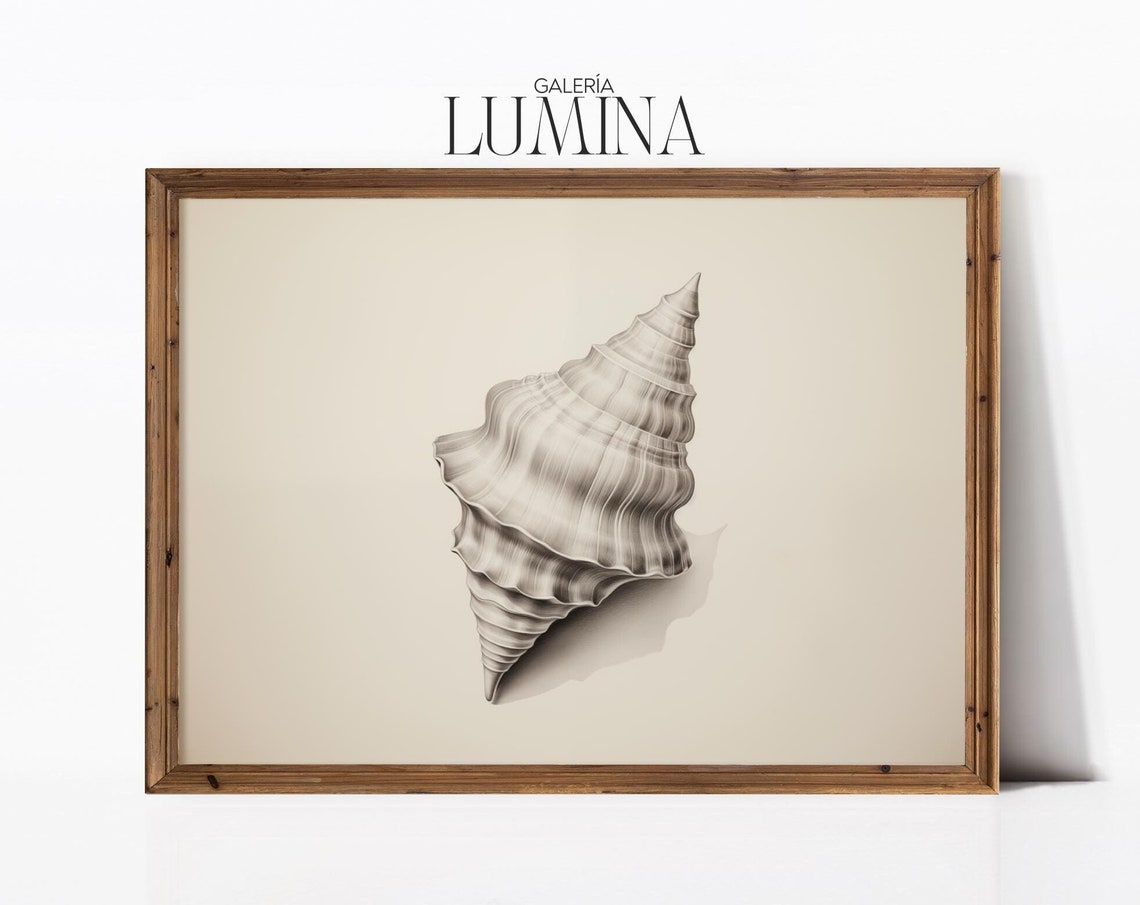 Conch Shell Pencil Drawing Minimalist Coastal Seashell Poster