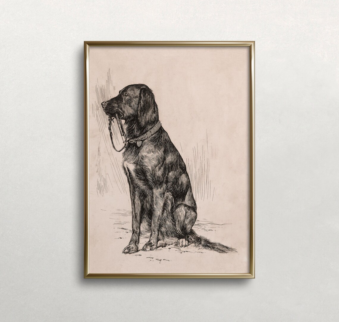 Vintage Black Labrador Art Sketch Wall Art Print