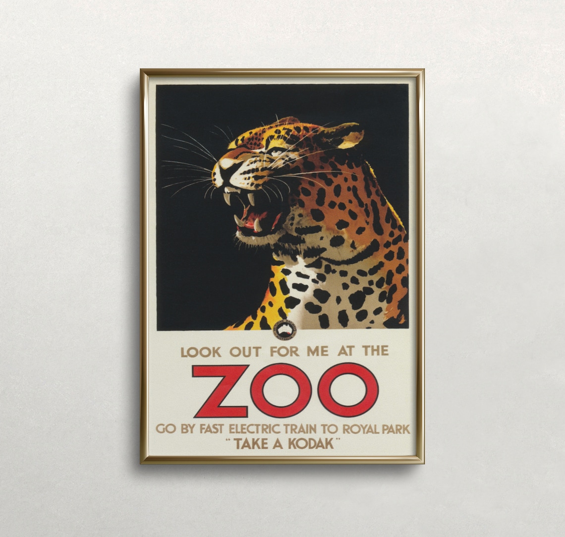Leopard Vintage Zoo Poster, Australia Zoo Wall Art Print