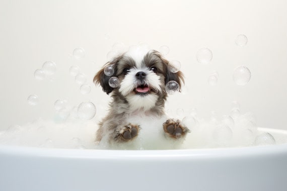Shih Tzu Pup In The Bathtub Cute Dog Photograph Shih Tzu In Bubble Bath Funny Animal Prints Funny Bathroom Wall Art Ai Art