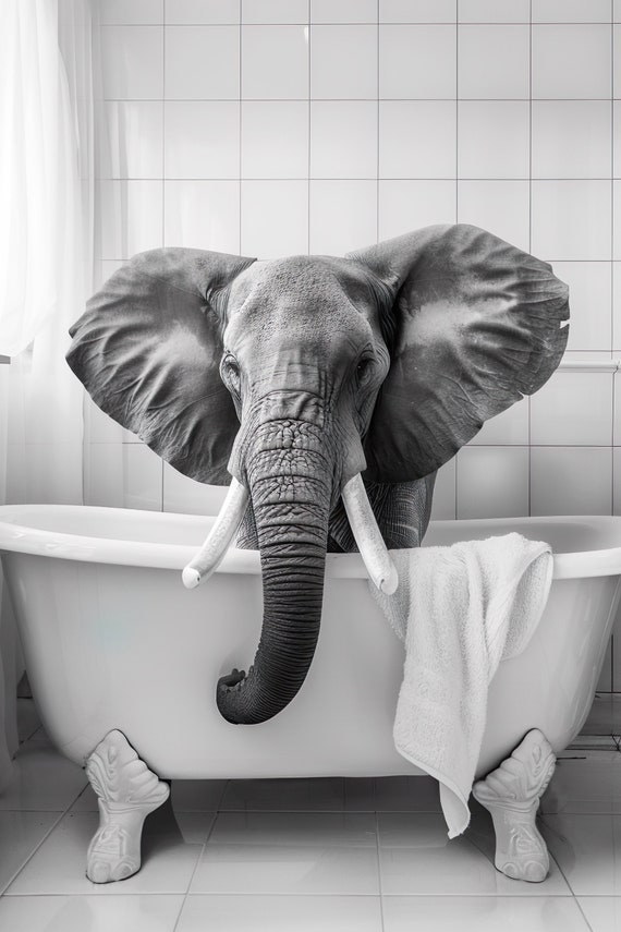 Elephant In The Bathtub Funny Animal Photo Print