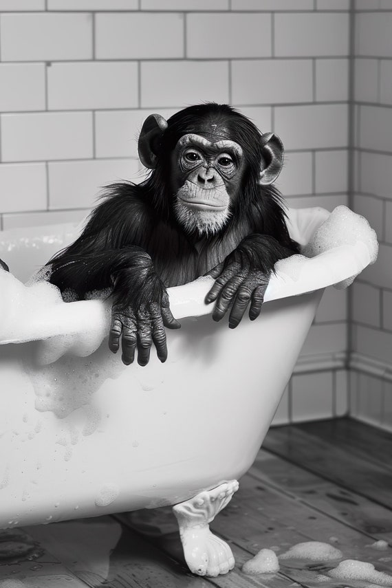 Monkey In The Bathtub Funny Animal Photograph Monkey Taking A Bubble Bath Ai Animal Print Funny Bathroom Wall Art Home