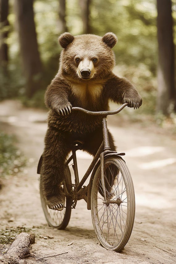 Bear Riding A Bike Funny Animal Wall Art Bear With Bicycle Funny Vintage Style Animal Photo Cute Retro Home Print Ai Art