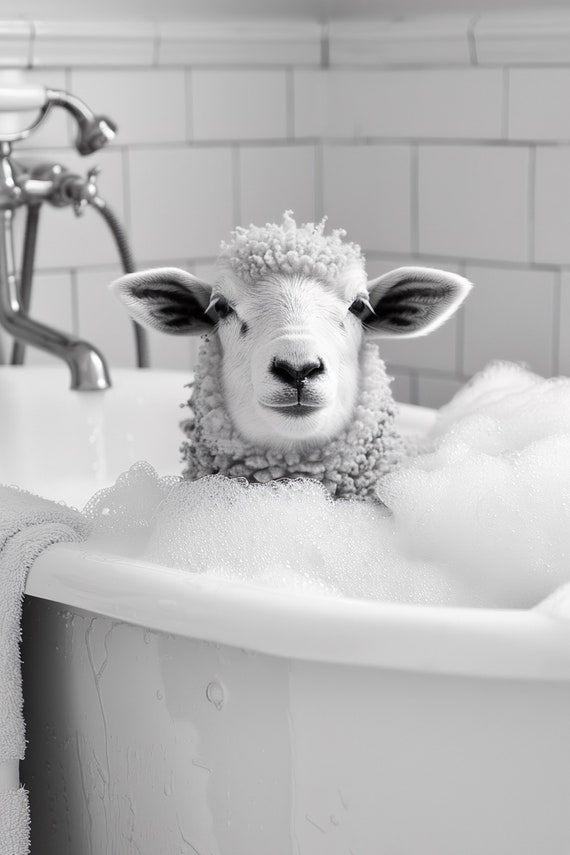Sheep In The Bathtub Funny Animal Photograph Sheep Taking A Bubble Bath Ai Animal Print Funny Bathroom Wall Art Home