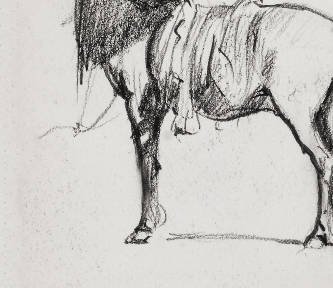 Saddled Horse Vintage Farm Animal Sketch Art Print - Image 3
