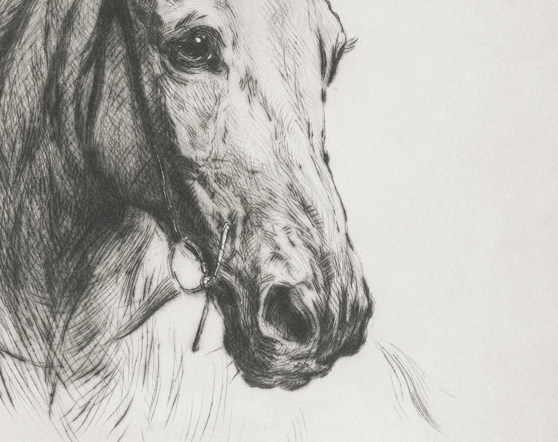 Horse Etching Vintage Black and White Art Print - Image 2