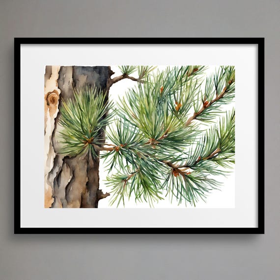 Pine Tree Watercolor Art Artwork Wall Art Print Nature Art Tree Watercolor Print