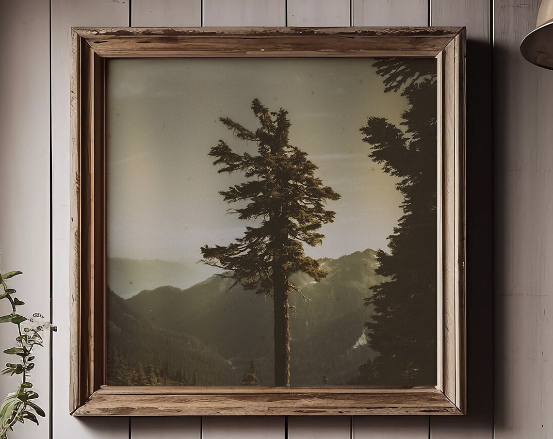 Lone Pine Tree Against Misty Mountains in Sepia Tones Poster