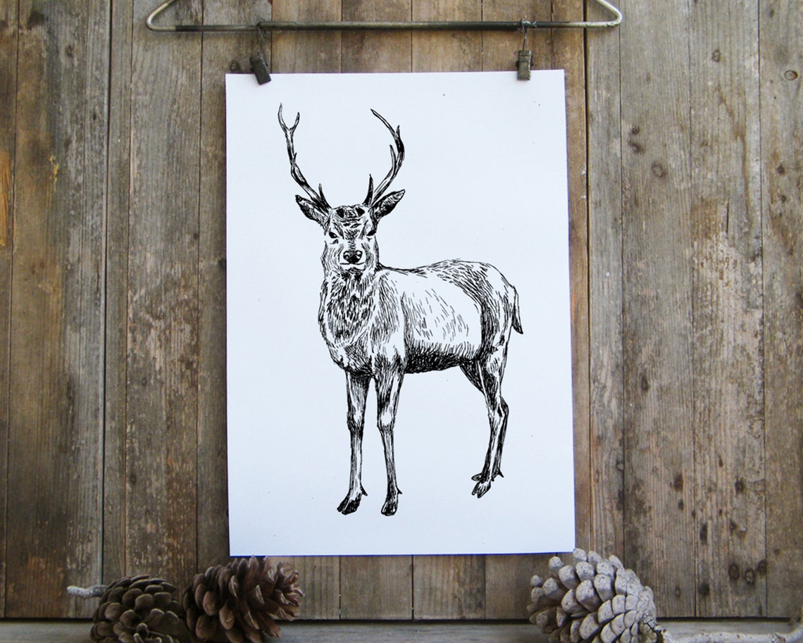 Black And White Stag Deer Ink Sketch Wildlife Minimalist Poster - Image 4