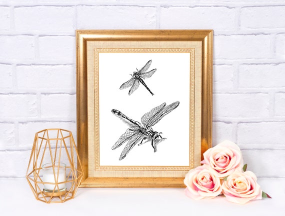 Wall Art Prints Black And White Nature Wall Art Prints For Framing Unique Wall Art Black And White Sketches Dragonfly