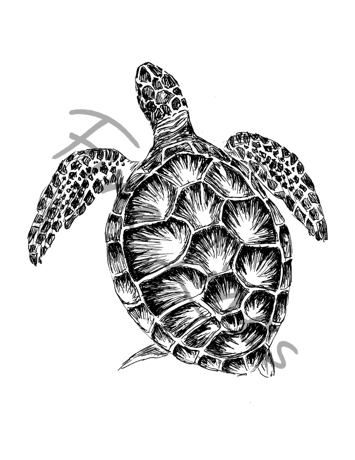 Sea Turtle Black and White Hand Drawn Ocean Wildlife Wall Art - Image 3