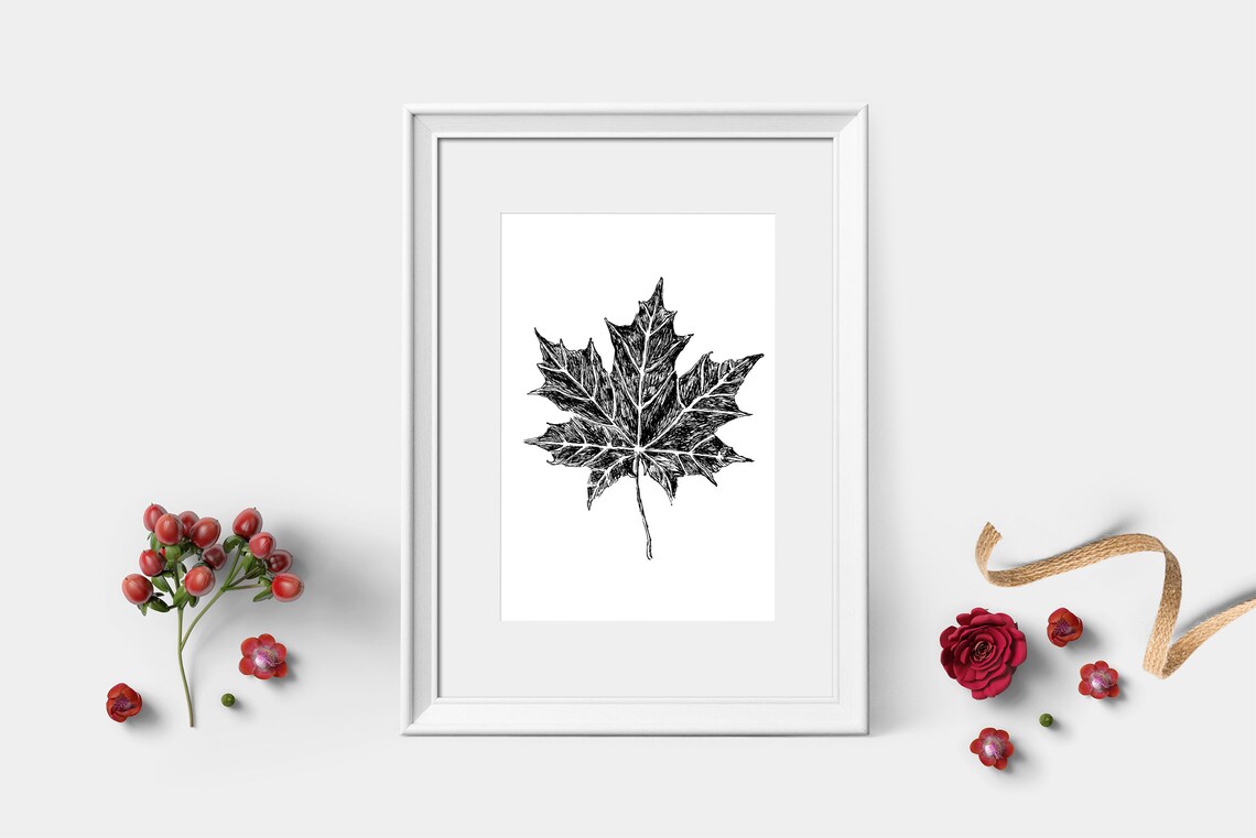 Maple Leaf Ink Sketch Black White Autumn Botanical Line Art Print