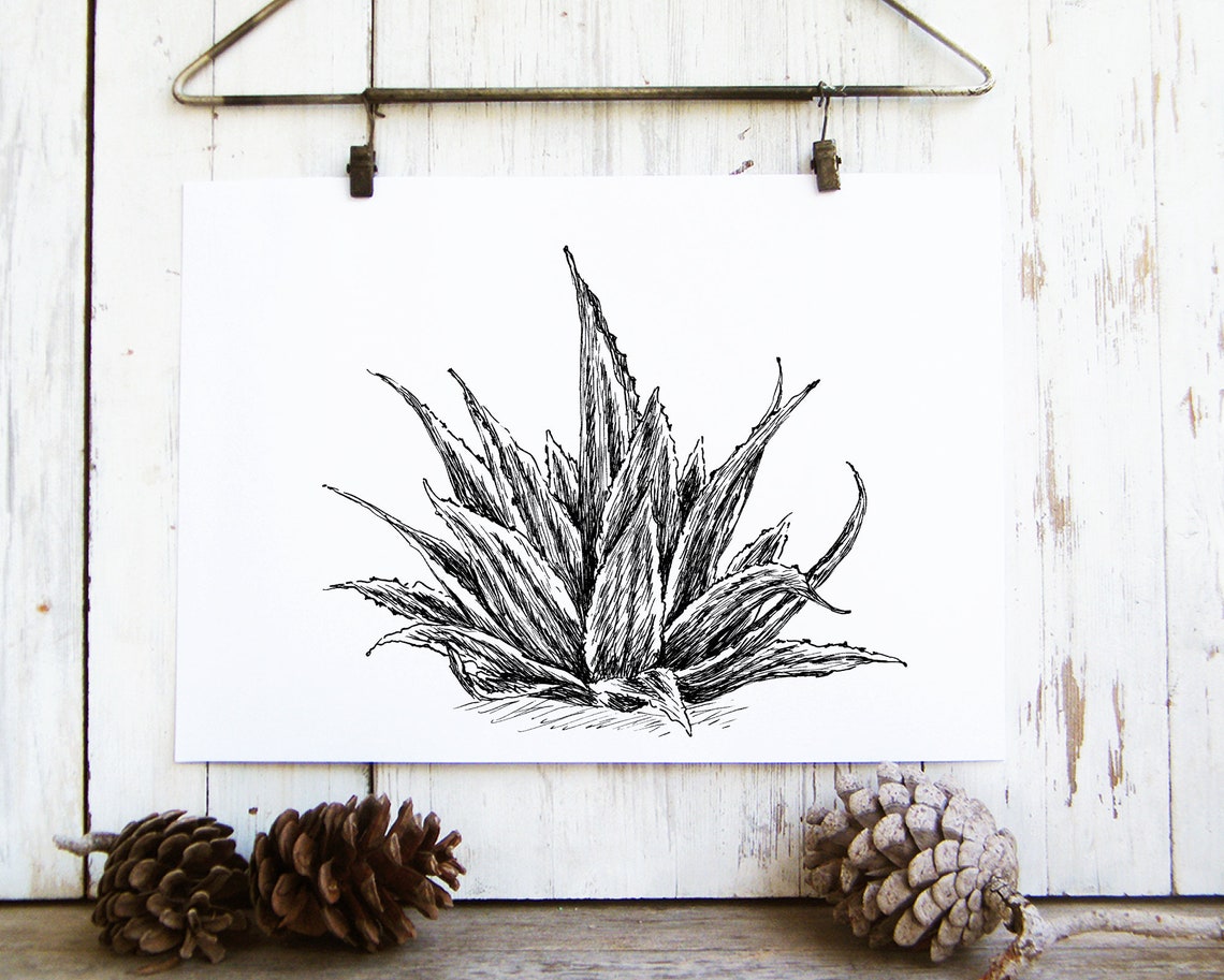 Agave Succulent Ink Sketch Black White Desert Plant Line Print - Image 3