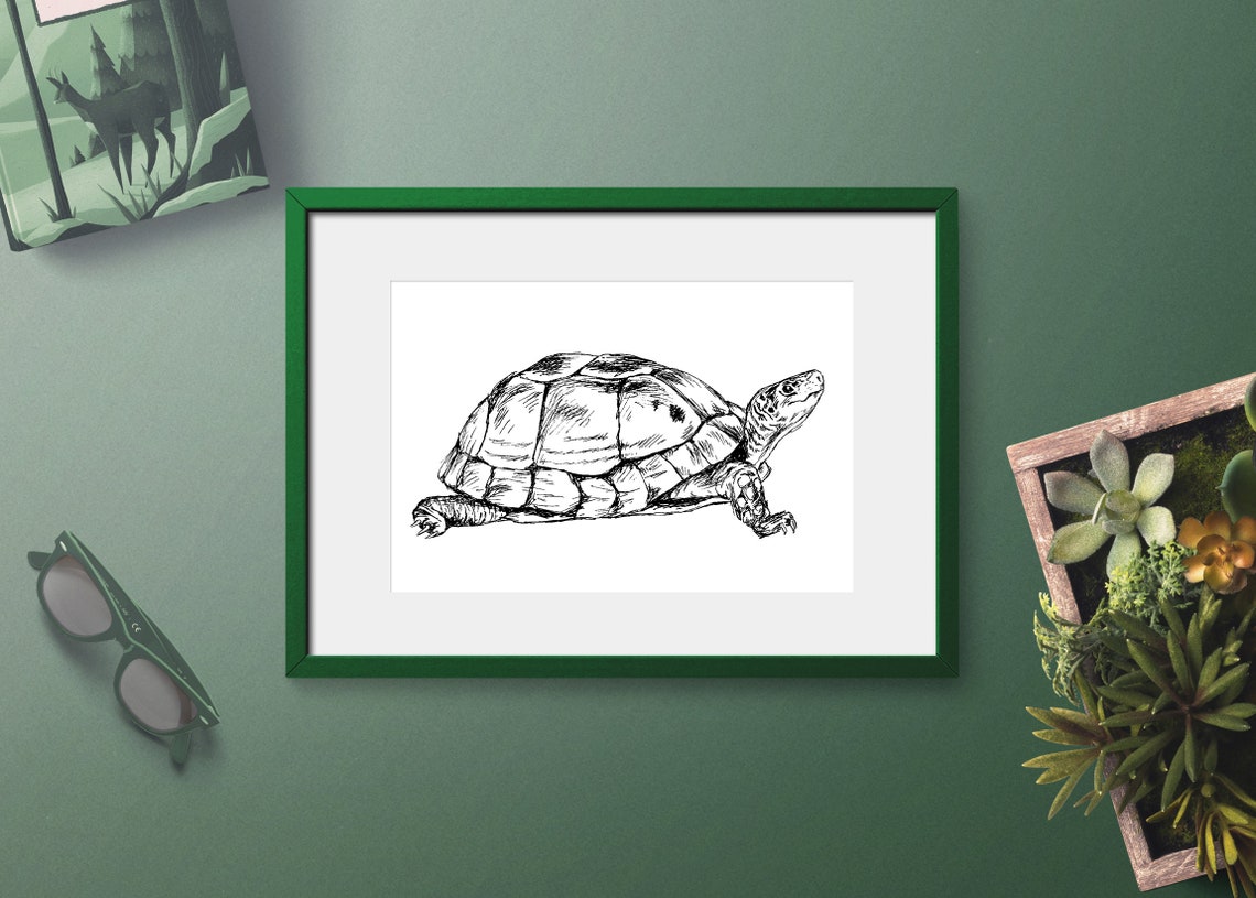 Wall Art Kids Unique Wall Dcor Rustic Nursery Dcor Black And White Nursery Prints Animal Turtle Print Tortoise