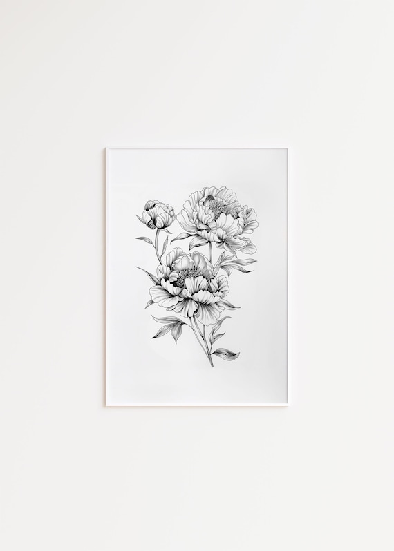 Vintage Peony Sketch, Minimalist Botanical Art Print