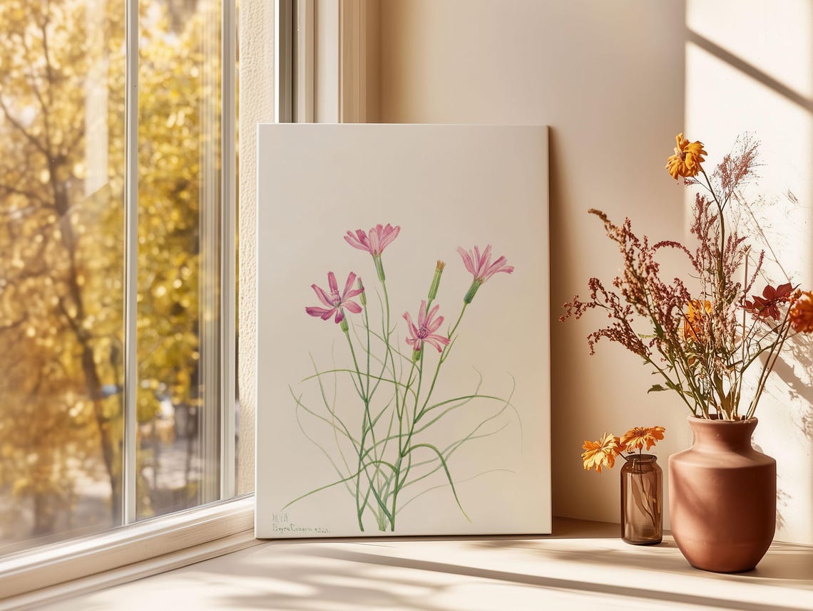 Skeleton Weed Pink Wildflowers Mary Vaux Walcott Botanical Poster