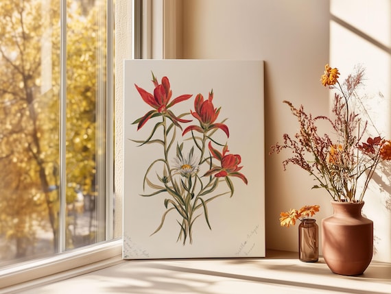 Vintage Red Wildflower Botanical Watercolor Floral Art Poster