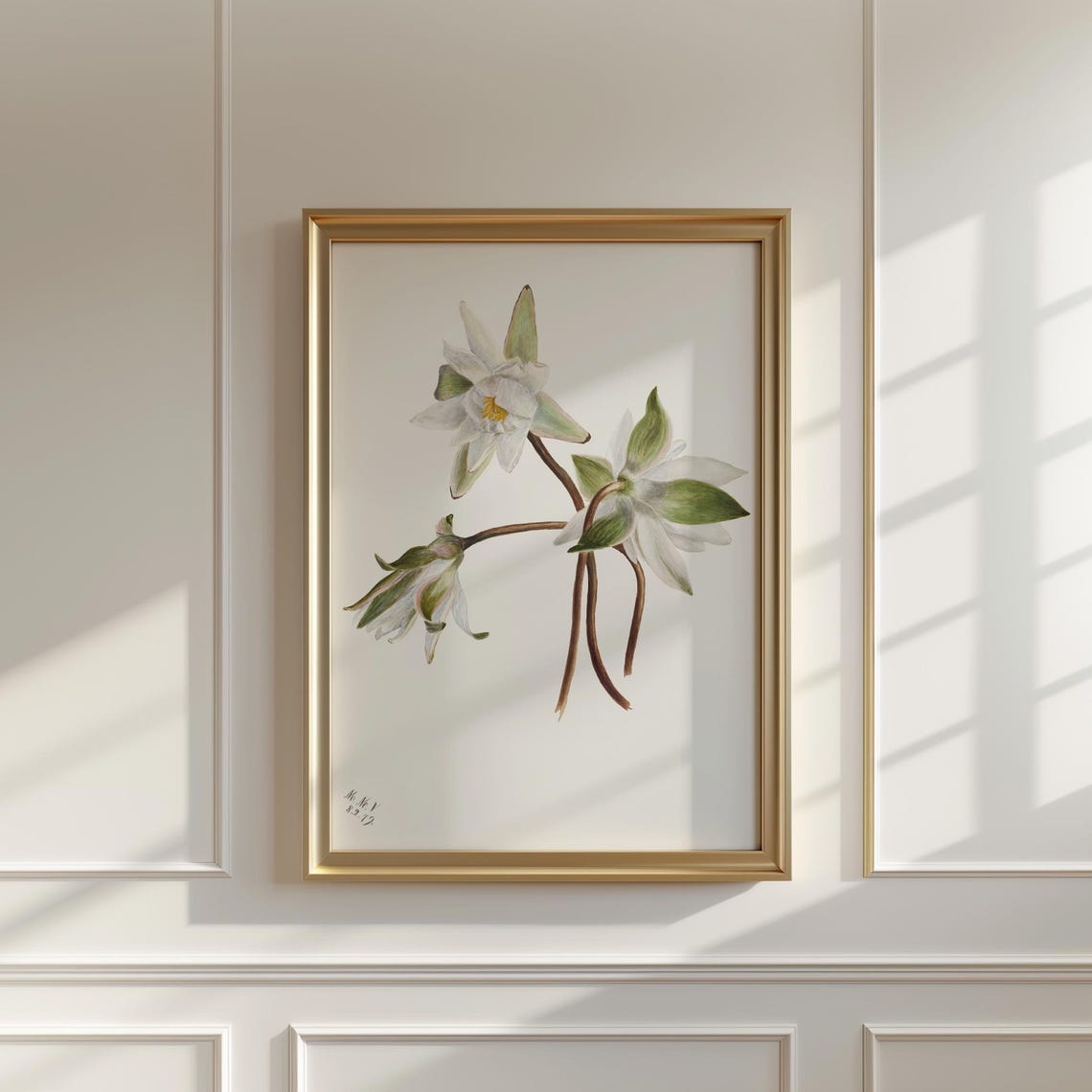 White Water Lily Vintage Botanical Illustration Flower Wall Art