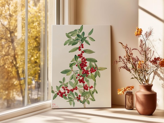 Yaupon Holly Red Berries Vintage Botanical Illustration Poster
