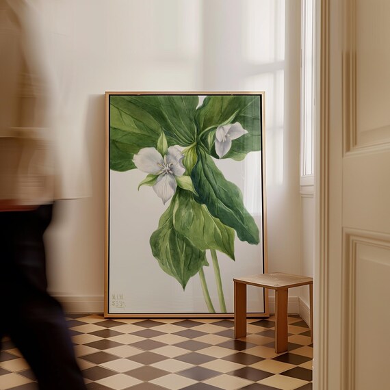 Mary Vaux Walcott Wakerobin White Trillium Botanical Watercolor Poster