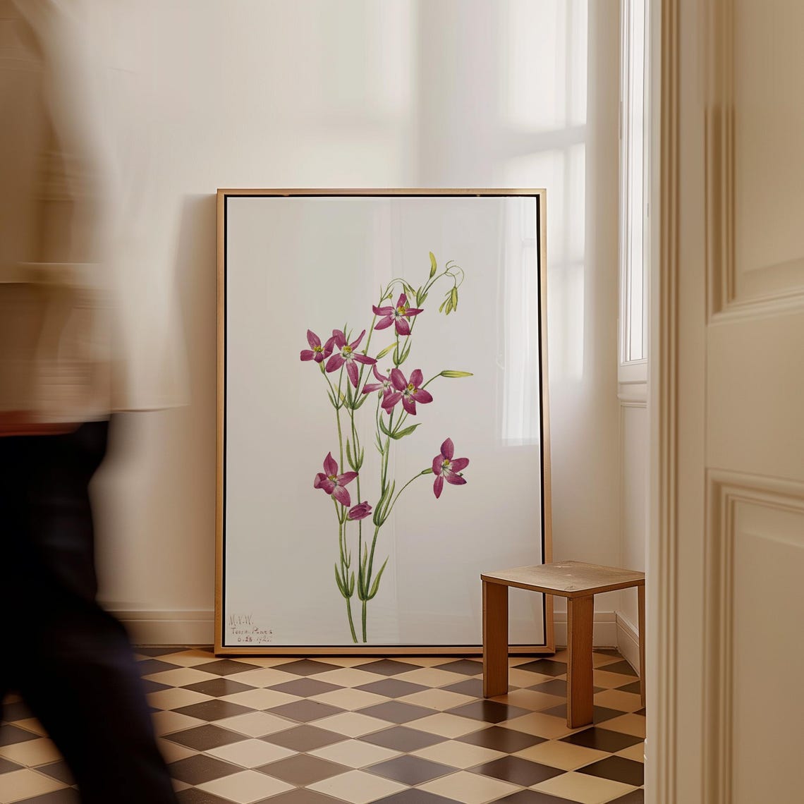 Mary Vaux Walcott Centaurium Art Print Vintage Botanical Canvas