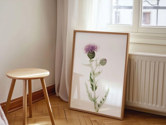 Mary Vaux Walcott Art Print Vintage Prairie Thistle Botanical Wall