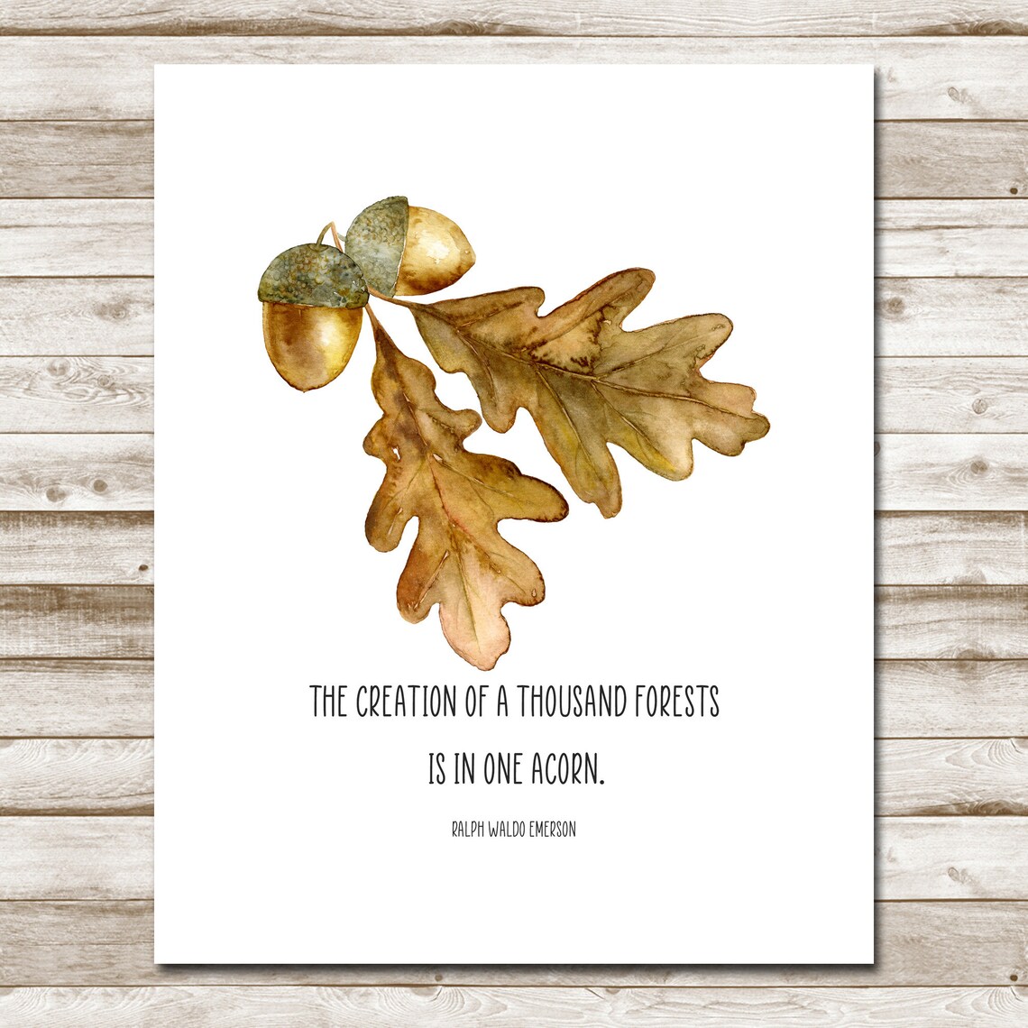 Acorn Quote Home Decor, Woodland Wall Art Print - Image 4
