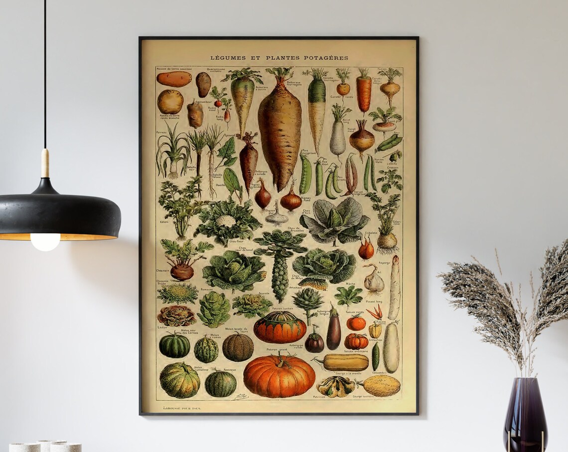 Adolphe Millot Botanical Vegetables Art Print, Kitchen - Image 3