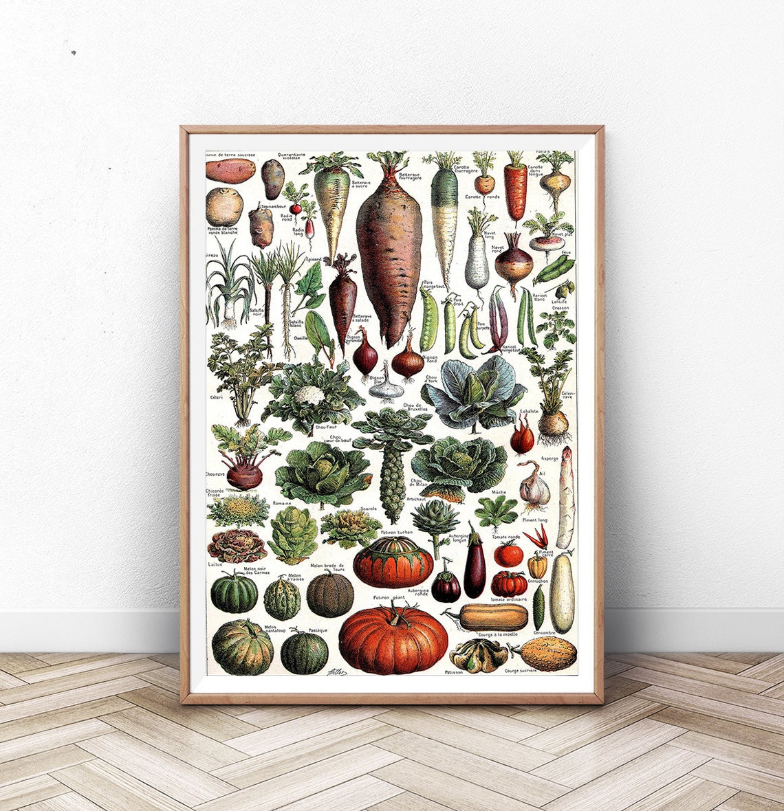 Vintage French Vegetable Botanical Chart Retro Kitchen Garden Poster