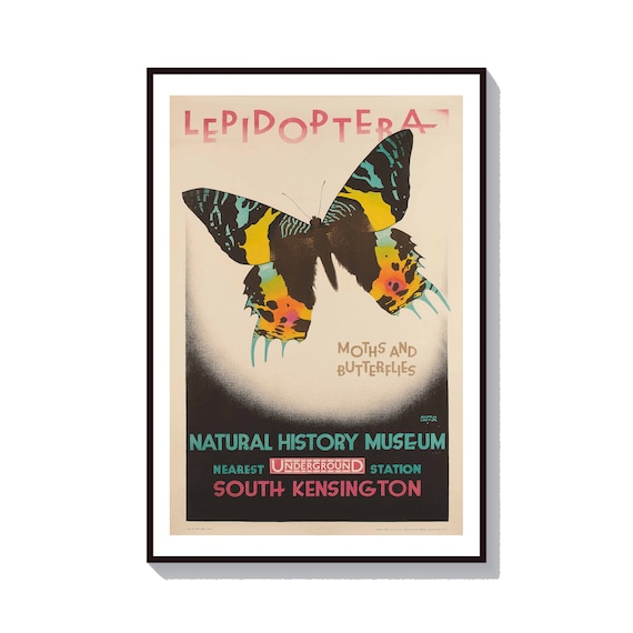 Butterfly Museum Poster, Retro Austin Cooper Art Print