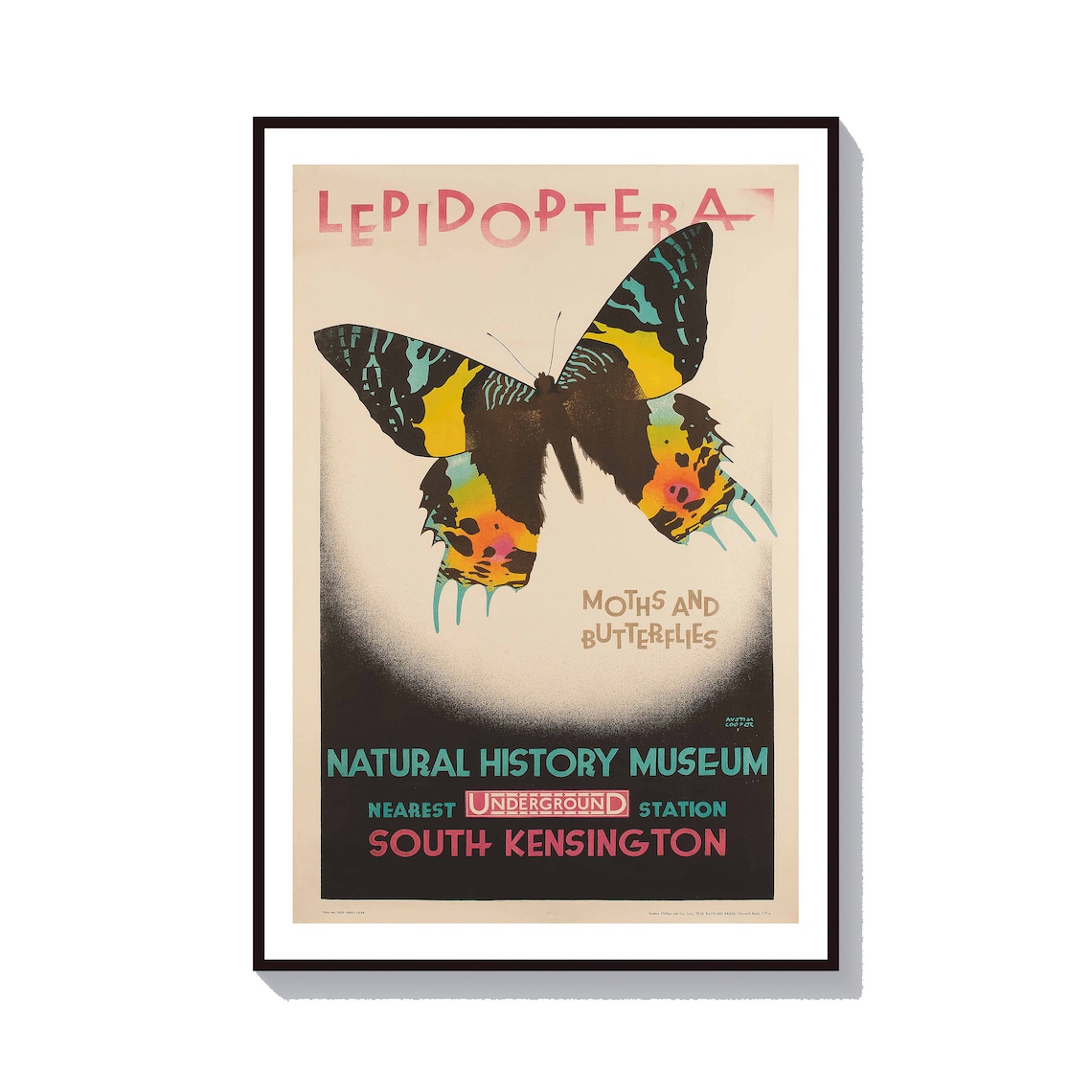 Butterfly Museum Poster, Retro Austin Cooper Art Print