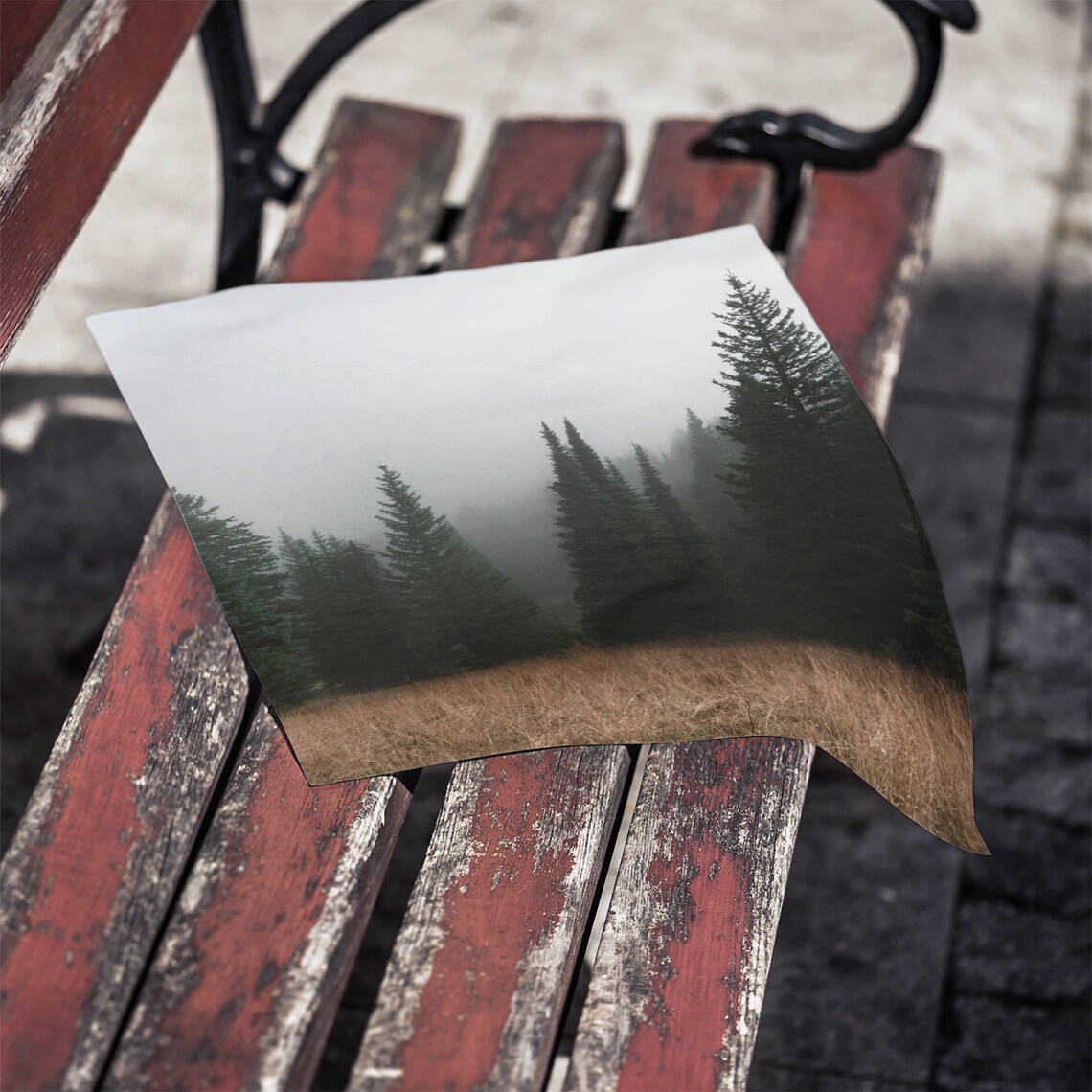 Forest Photography Nature Art Print, Woodland Poster - Image 2