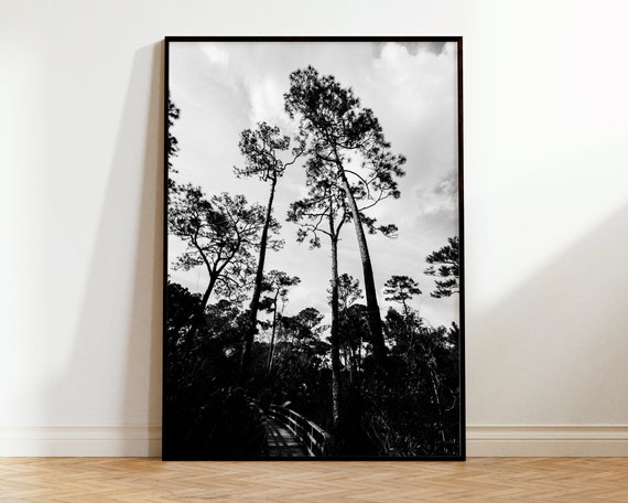 Black And White Landscape Print Botanical Wall Art Tree Minimalist Photography Poster Modern Home Decor Boho Nature