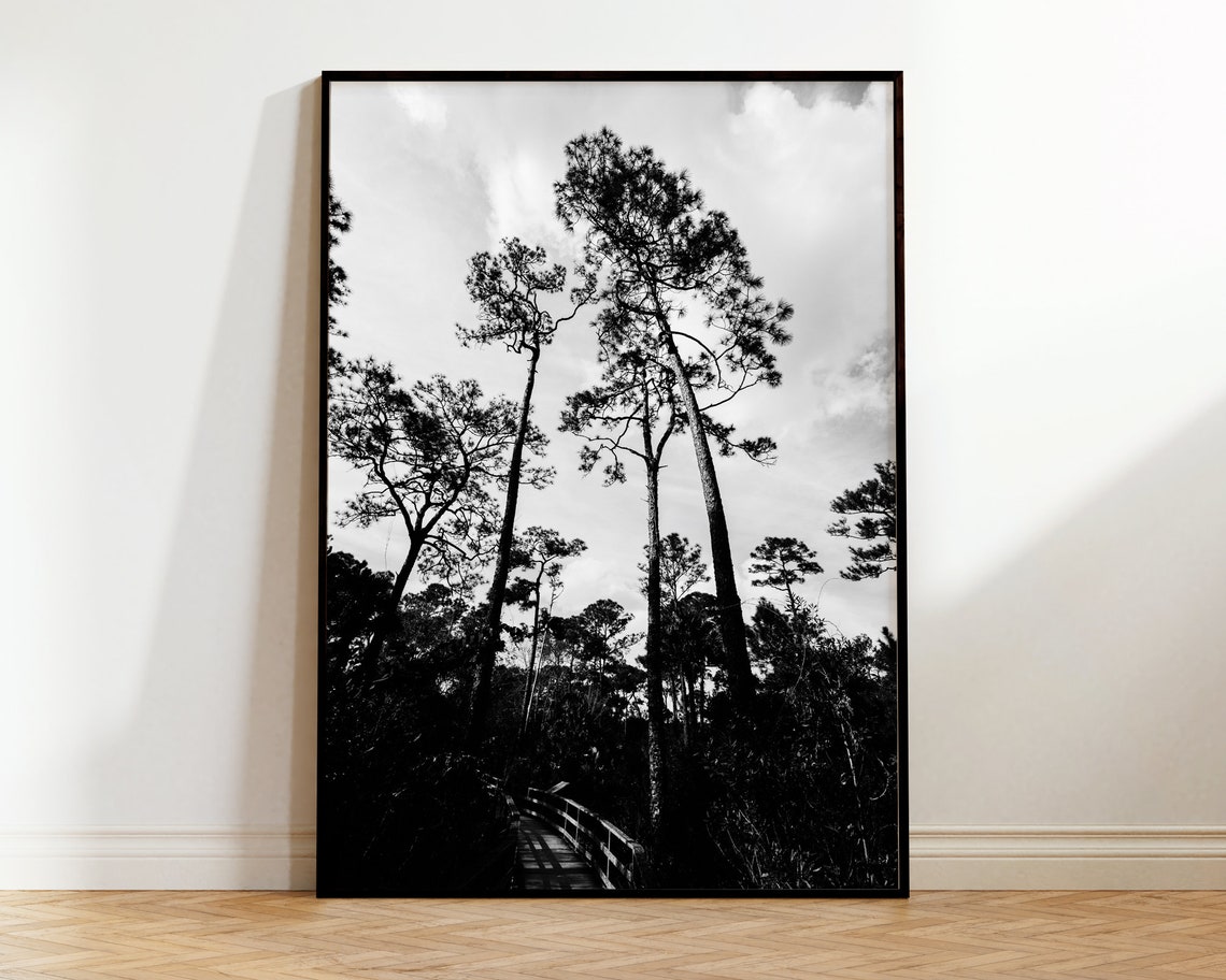 Black And White Landscape Print Botanical Wall Art Tree Minimalist Photography Poster Modern Home Decor Boho Nature
