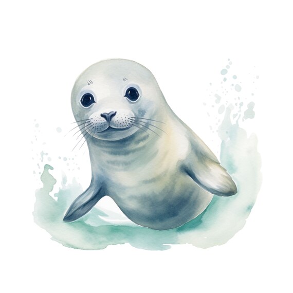 Seal Poster In Watercolors As A Cute Seal Decoration Perfect As A Childrens Room Decoration Or Baby Room Picture