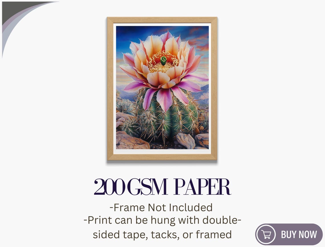 Blooming Cactus Pink Desert Flower Sunset Botanical Art Poster - Image 5