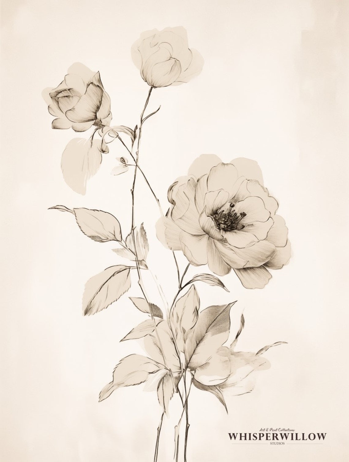Antique Sepia Rose Sketch Vintage Botanical Blossom Drawing Poster - Image 6