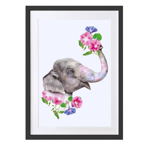 Elephant Animal Print
